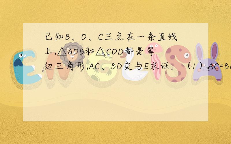 已知B、O、C三点在一条直线上,△AOB和△COD都是等边三角形,AC、BD交与E求证：（1）AC=BD（2）∠AEB=60