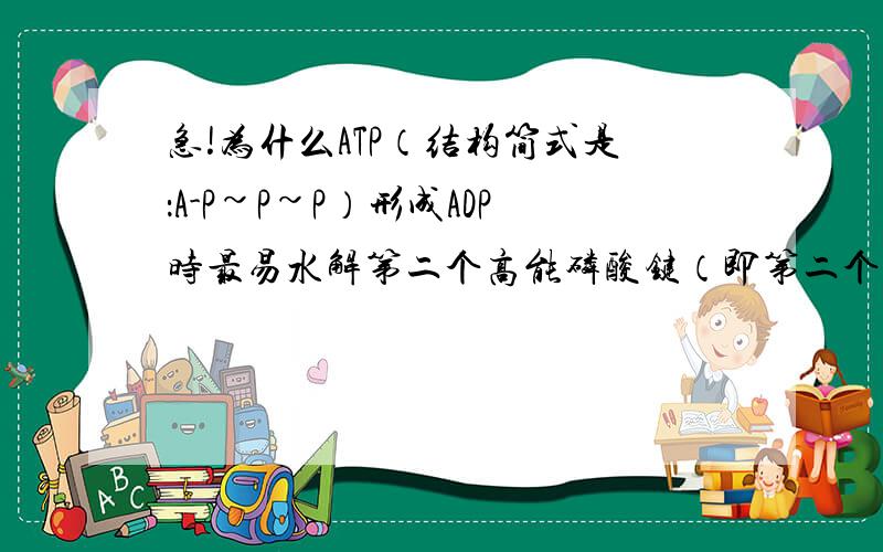 急!为什么ATP（结构简式是：A-P~P~P）形成ADP时最易水解第二个高能磷酸键（即第二个~)?