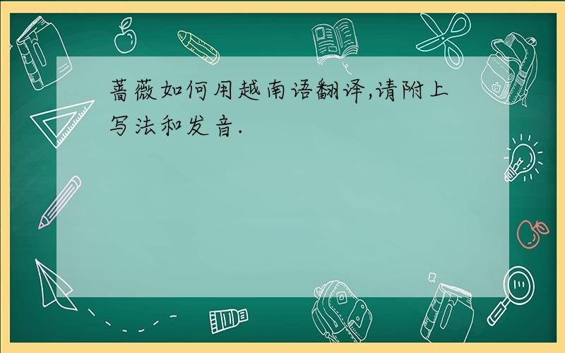 蔷薇如何用越南语翻译,请附上写法和发音.