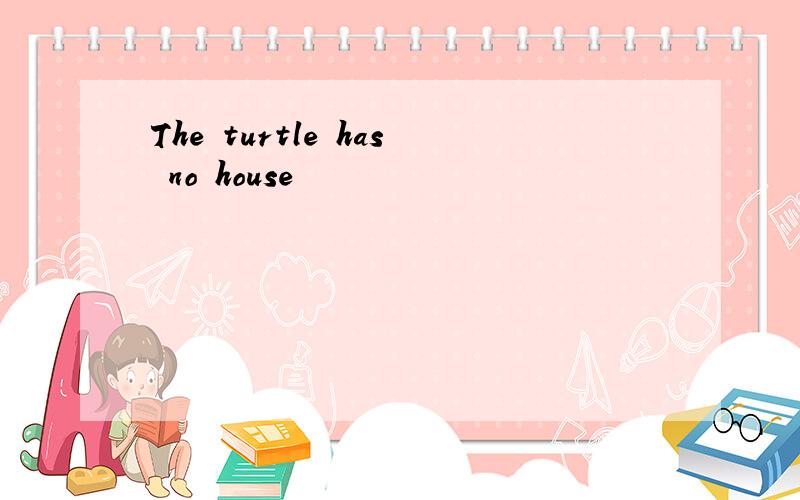 The turtle has no house