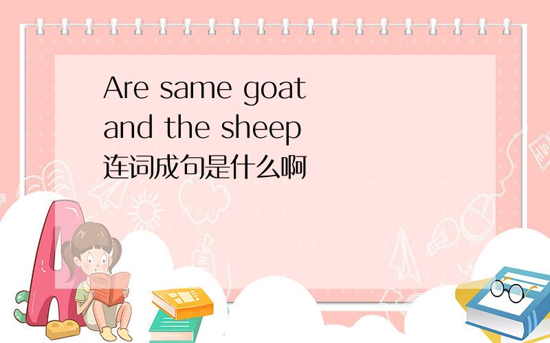 Are same goat and the sheep 连词成句是什么啊