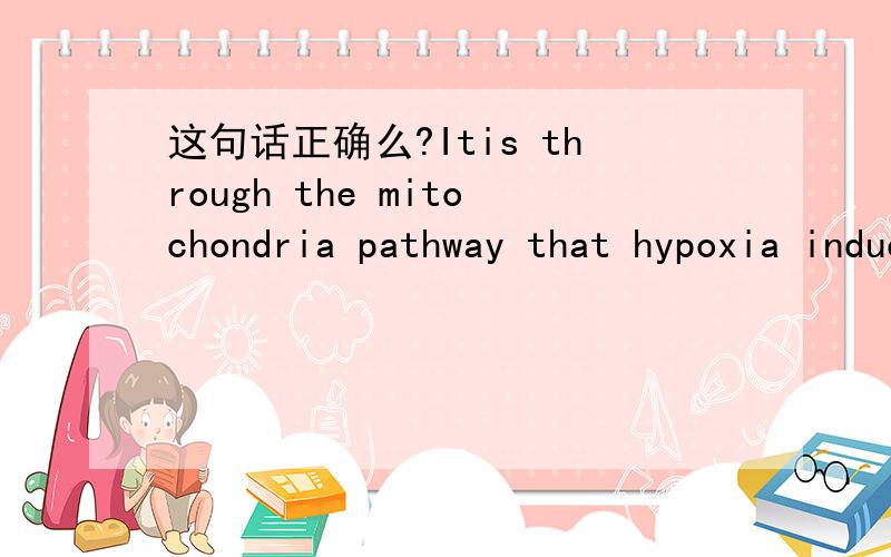 这句话正确么?Itis through the mitochondria pathway that hypoxia induce the myocardium to die.凋亡的动词形式是哪个啊.