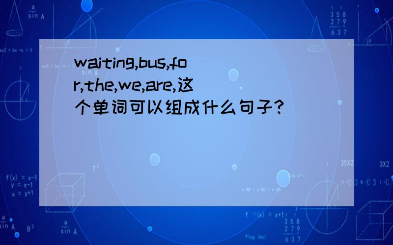 waiting,bus,for,the,we,are,这个单词可以组成什么句子?