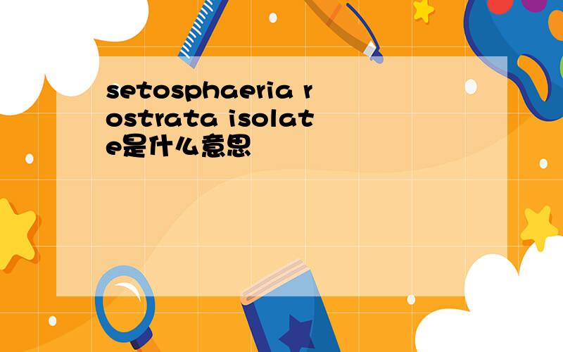 setosphaeria rostrata isolate是什么意思