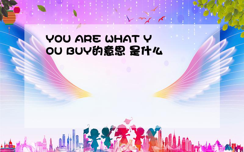 YOU ARE WHAT YOU BUY的意思 是什么