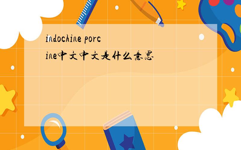 indochine porcine中文中文是什么意思