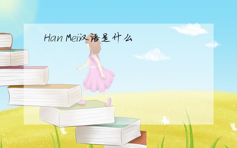 Han Mei汉语是什么