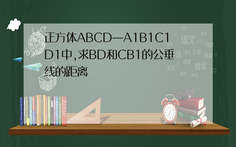 正方体ABCD—A1B1C1D1中,求BD和CB1的公垂线的距离