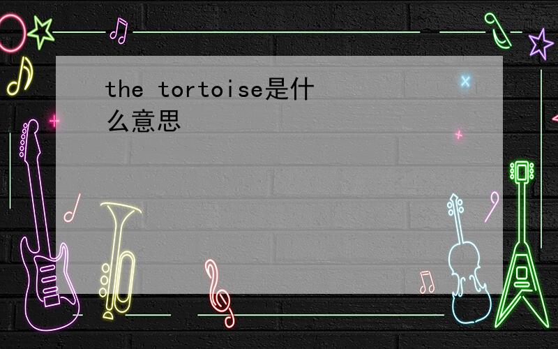 the tortoise是什么意思