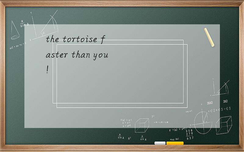 the tortoise faster than you!