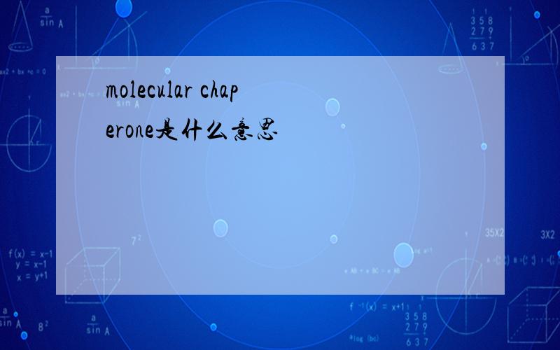 molecular chaperone是什么意思