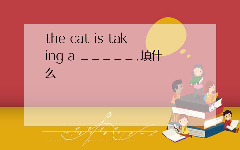 the cat is taking a _____.填什么