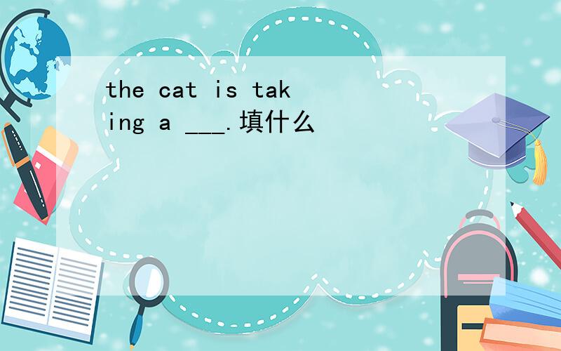 the cat is taking a ___.填什么