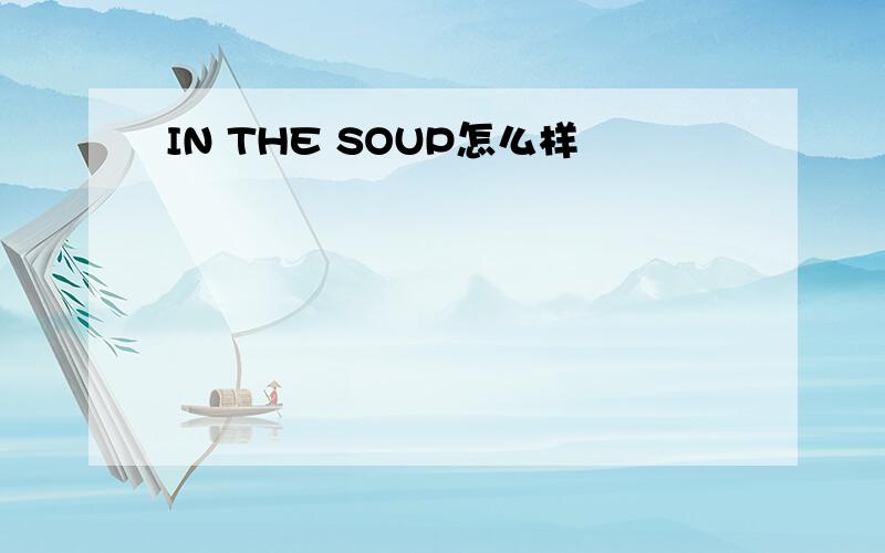 IN THE SOUP怎么样
