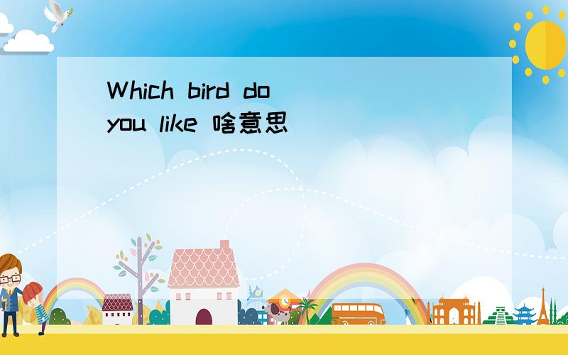 Which bird do you like 啥意思