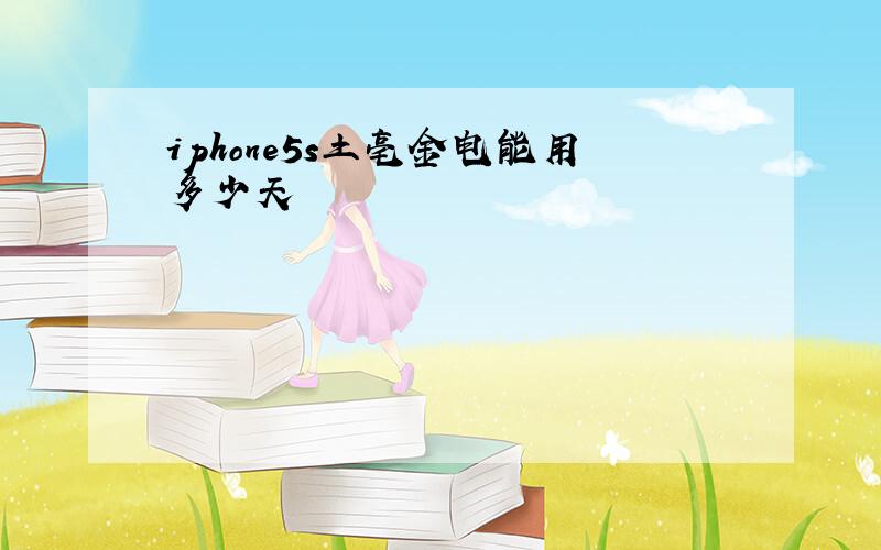 iphone5s土亳金电能用多少天