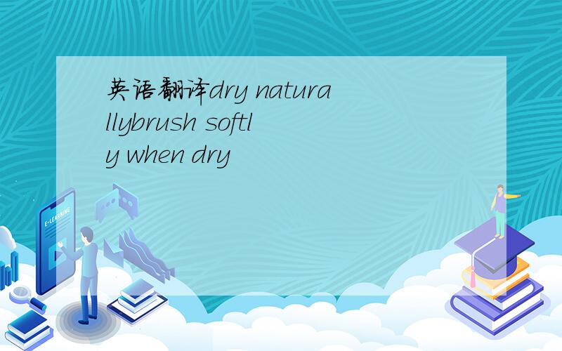 英语翻译dry naturallybrush softly when dry