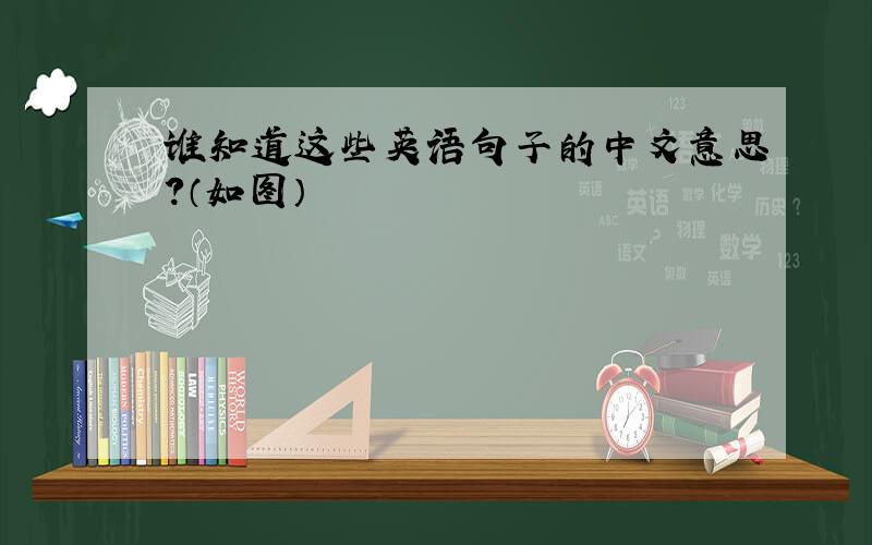谁知道这些英语句子的中文意思?（如图）