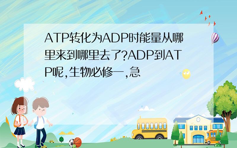 ATP转化为ADP时能量从哪里来到哪里去了?ADP到ATP呢,生物必修一,急