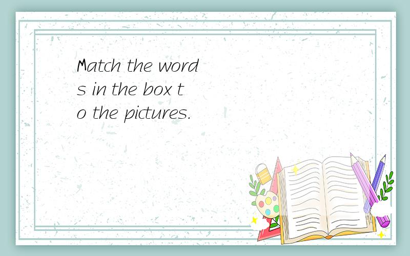Match the words in the box to the pictures.
