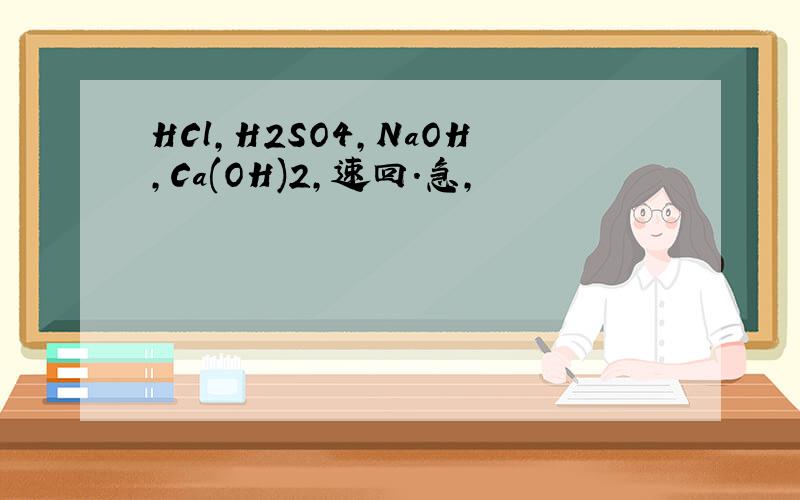 HCl,H2SO4,NaOH,Ca(OH)2,速回.急,