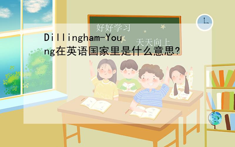 Dillingham-Young在英语国家里是什么意思?