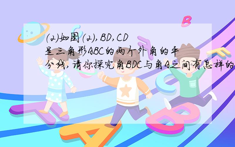 （2）如图（2）,BD,CD是三角形ABC的两个外角的平分线,请你探究角BDC与角A之间有怎样的等量关系