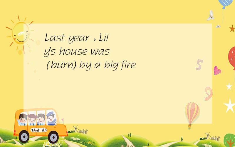 Last year ,Lily's house was (burn) by a big fire