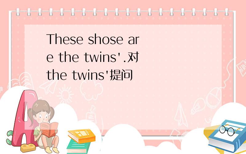 These shose are the twins'.对the twins'提问