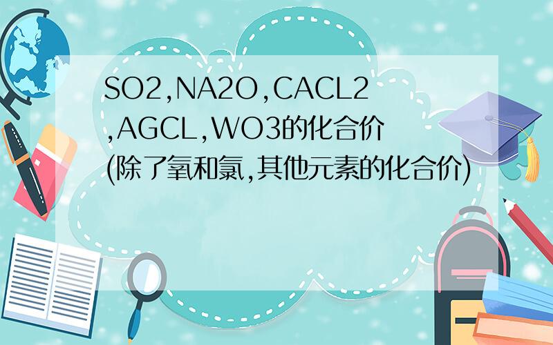 SO2,NA2O,CACL2,AGCL,WO3的化合价 (除了氧和氯,其他元素的化合价)