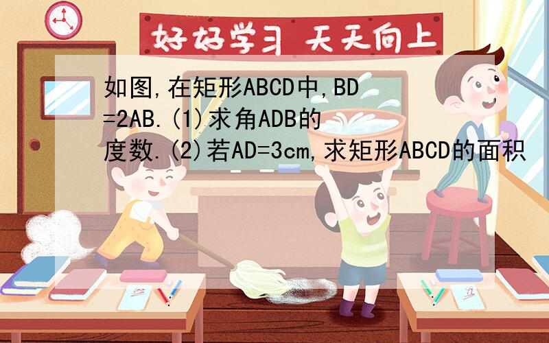 如图,在矩形ABCD中,BD=2AB.(1)求角ADB的度数.(2)若AD=3cm,求矩形ABCD的面积