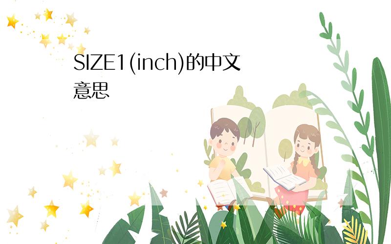 SIZE1(inch)的中文意思
