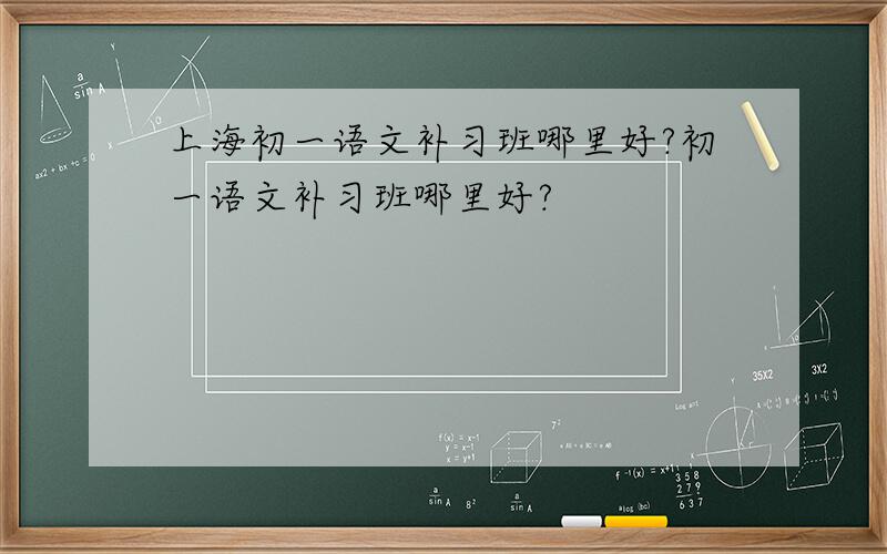 上海初一语文补习班哪里好?初一语文补习班哪里好?
