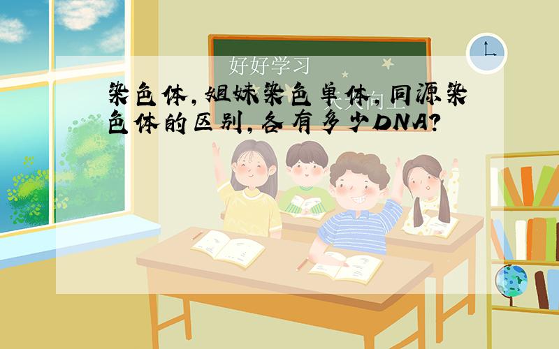 染色体,姐妹染色单体,同源染色体的区别,各有多少DNA?