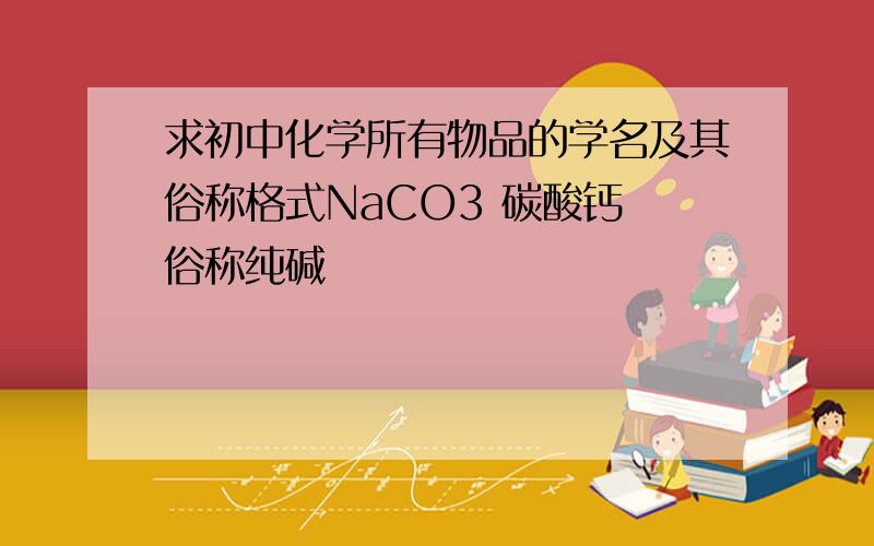 求初中化学所有物品的学名及其俗称格式NaCO3 碳酸钙 俗称纯碱