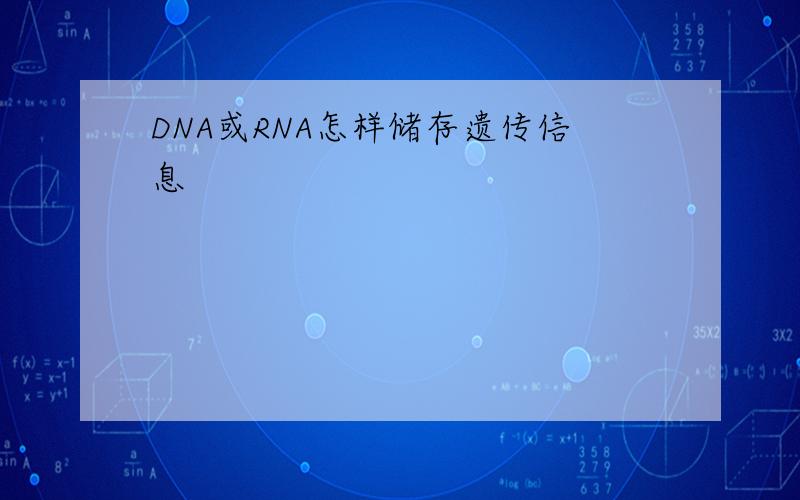 DNA或RNA怎样储存遗传信息