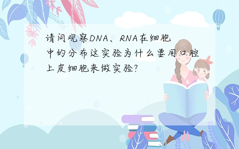 请问观察DNA、RNA在细胞中的分布这实验为什么要用口腔上皮细胞来做实验?