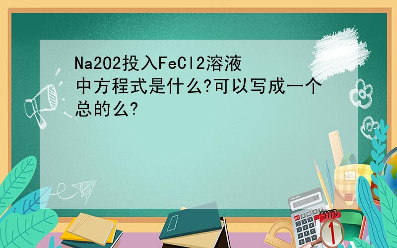 Na2O2投入FeCl2溶液中方程式是什么?可以写成一个总的么?
