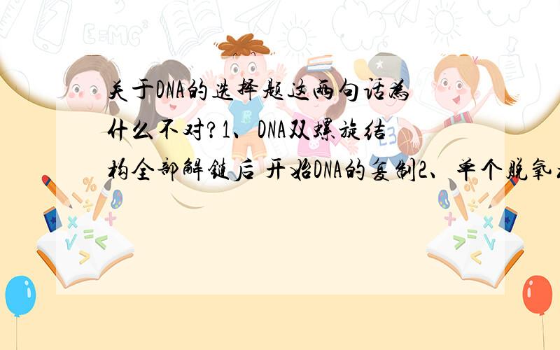 关于DNA的选择题这两句话为什么不对?1、DNA双螺旋结构全部解链后 开始DNA的复制2、单个脱氧核苷酸在DNA酶的作用下连接合成新的子链