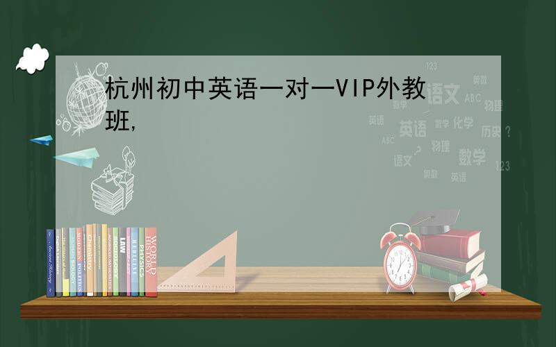 杭州初中英语一对一VIP外教班,