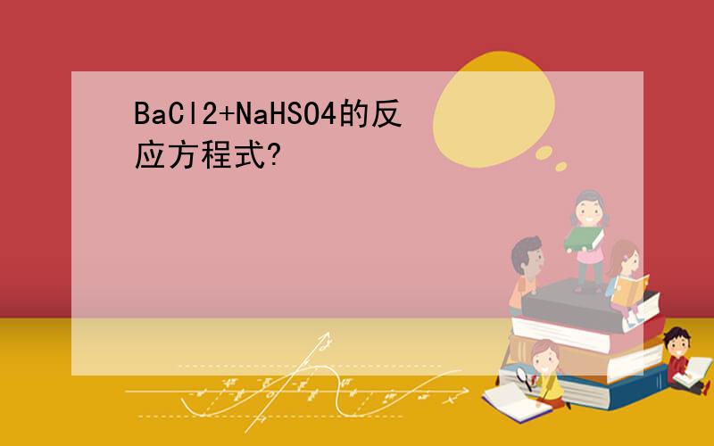 BaCl2+NaHSO4的反应方程式?