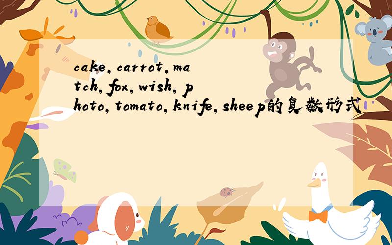 cake,carrot,match,fox,wish,photo,tomato,knife,sheep的复数形式