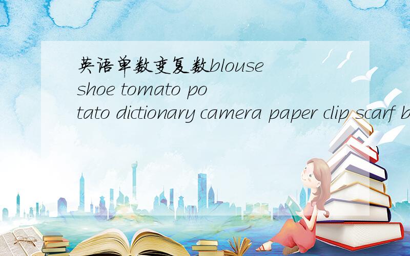 英语单数变复数blouse shoe tomato potato dictionary camera paper clip scarf box stapler biscuit sharpener coat T-shirt carrot orange child loaf