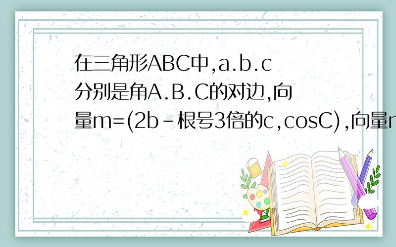 在三角形ABC中,a.b.c分别是角A.B.C的对边,向量m=(2b-根号3倍的c,cosC),向量n=(根号3倍的a,cosA),且向量m平行于向量n,求角A的大小