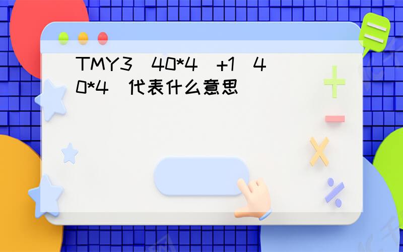 TMY3(40*4）+1（40*4）代表什么意思