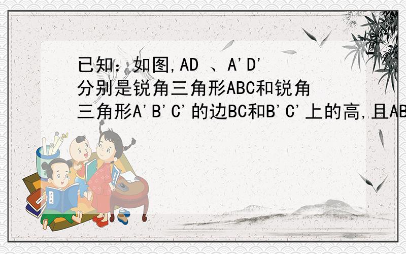 已知：如图,AD 、A'D'分别是锐角三角形ABC和锐角三角形A'B'C'的边BC和B'C'上的高,且AB=A'B',AD=A'D'.请你补充一个条件（ ）使三角形ABC全等于三角形A'B'C'