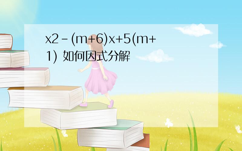 x2-(m+6)x+5(m+1) 如何因式分解