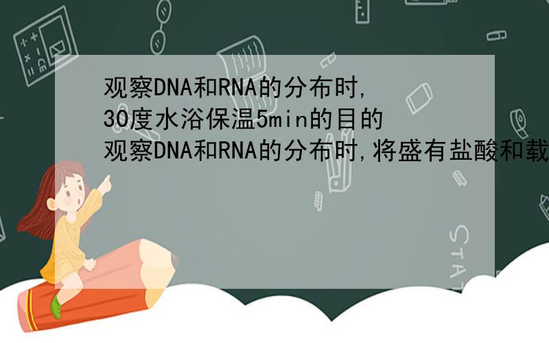 观察DNA和RNA的分布时,30度水浴保温5min的目的观察DNA和RNA的分布时,将盛有盐酸和载玻片的的小烧杯放在大烧杯中保温5min的目的是什么保温时间过短会造成?过长会造成?