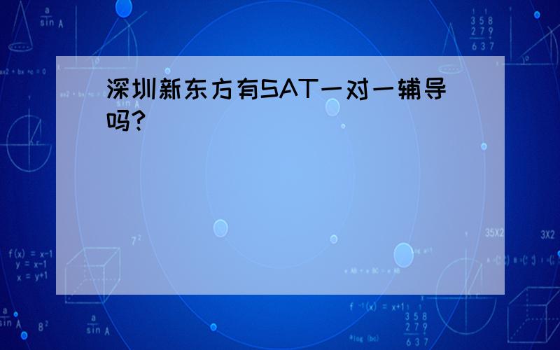 深圳新东方有SAT一对一辅导吗?