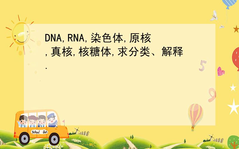 DNA,RNA,染色体,原核,真核,核糖体,求分类、解释.
